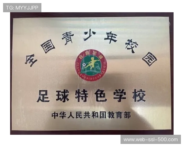 足球教材体系标准化推进，学校教育与专业训练结合深化